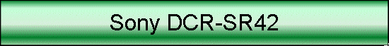 Sony DCR-SR42
