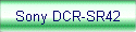 Sony DCR-SR42