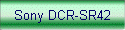 Sony DCR-SR42