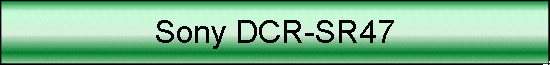 Sony DCR-SR47
