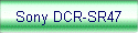 Sony DCR-SR47