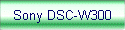 Sony DSC-W300