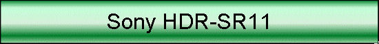 Sony HDR-SR11
