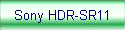 Sony HDR-SR11