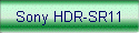 Sony HDR-SR11