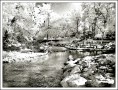 riverfalls park infrared enhansed