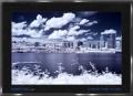 46830379.Portland IR 061805 f 46830379.Portland IR 061805 f
