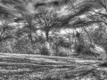 IMG 3506 7 8 tonemapped