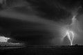 Untitled 9
