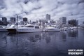 portland ir 3 portland ir 3