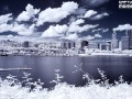 portland ir 5