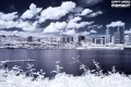 portland ir 5 portland ir 5