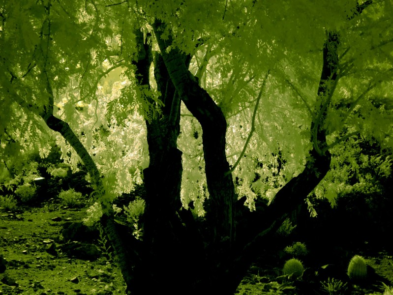 FP1 28