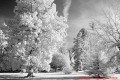MG 0793 n1w MG 0793 n1w