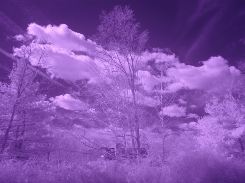 ColorChannel Test1 Red Blue Swap