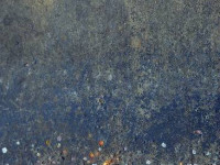 Abstract Photography